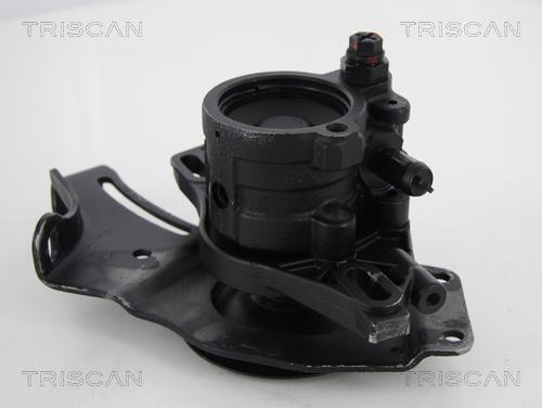 Triscan 8515 25630 - Hydraulic Pump, steering system autospares.lv