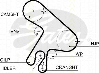 Triscan 8645 5562xs - Timing Belt autospares.lv