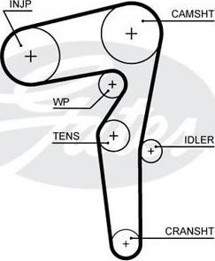 Triscan 8645 5646xs - Timing Belt autospares.lv