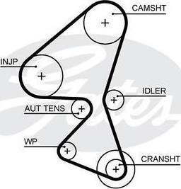 Triscan 8645 5656xs - Timing Belt autospares.lv