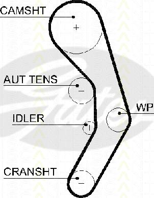 Triscan 8645 5601xs - Timing Belt autospares.lv