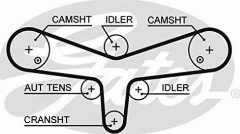 Triscan 8645 5624xs - Timing Belt autospares.lv