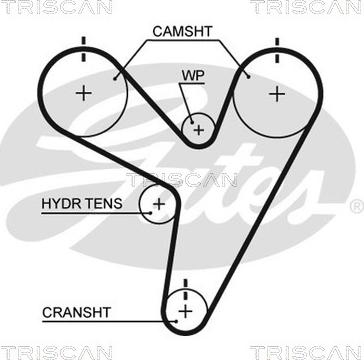 Triscan 8645 t255 - Timing Belt autospares.lv