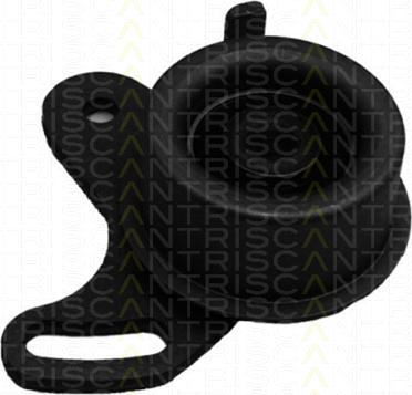 Triscan 8646 43101 - Tensioner Pulley, timing belt autospares.lv