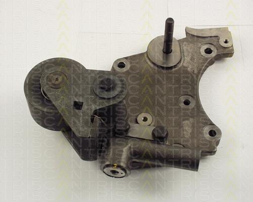 Triscan 8646 28105 - Tensioner Lever, timing belt autospares.lv