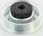 Triscan 8641 691004 - Pulley, v-ribbed belt autospares.lv