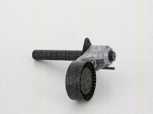 Triscan 8641 113039 - Belt Tensioner, v-ribbed belt autospares.lv