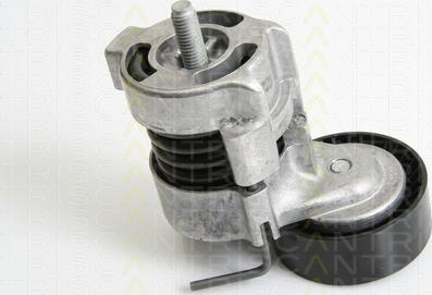 Triscan 8641 113029 - Belt Tensioner, v-ribbed belt autospares.lv