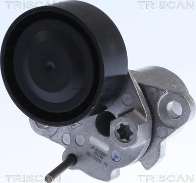 Triscan 8641 293054 - Belt Tensioner, v-ribbed belt autospares.lv