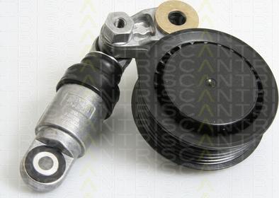 Triscan 8641 293030 - Belt Tensioner, v-ribbed belt autospares.lv