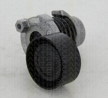 Triscan 8641 253012 - Belt Tensioner, v-ribbed belt autospares.lv