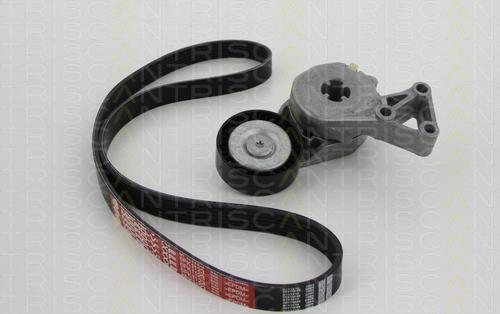 Triscan 8642 29003 - V-Ribbed Belt Set autospares.lv