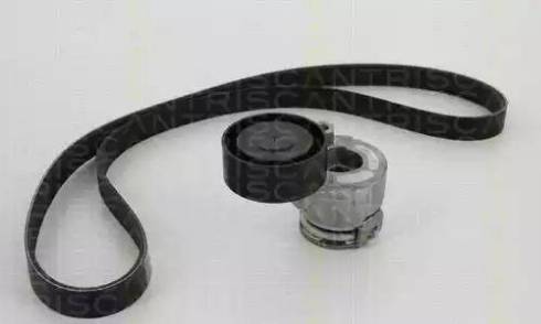 Triscan 8642 25001 - V-Ribbed Belt Set autospares.lv