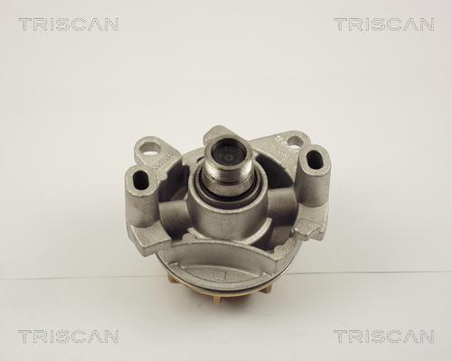 Triscan 8600 10017 - Water Pump autospares.lv