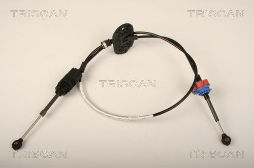 Triscan 8140 16704 - Cable, automatic transmission autospares.lv