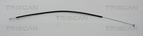 Triscan 8140 231138 - Cable, parking brake autospares.lv