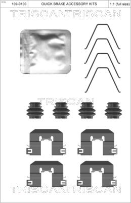 Triscan 8105 431654 - Accessory Kit for disc brake Pads autospares.lv