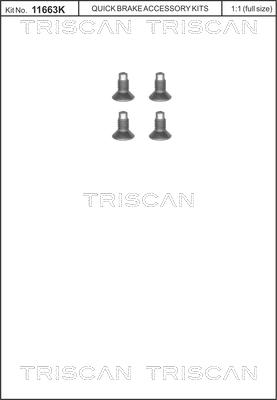 Triscan 8105 116004 - Screw Set, brake disc autospares.lv