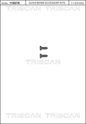 Triscan 8105 116008 - Screw Set, brake disc autospares.lv