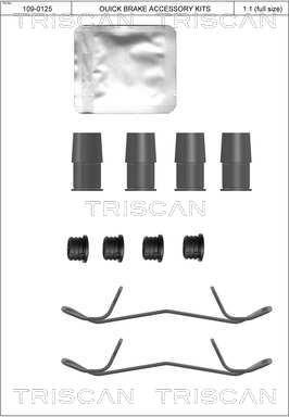 Triscan 8105 131656 - Accessory Kit for disc brake Pads autospares.lv