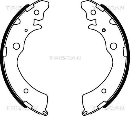 Triscan 8100 40508 - Brake Shoe Set autospares.lv