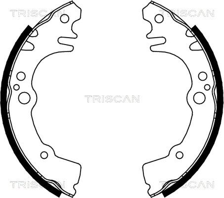 Triscan 8100 41616 - Brake Shoe Set autospares.lv