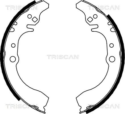 Triscan 8100 41617 - Brake Shoe Set autospares.lv