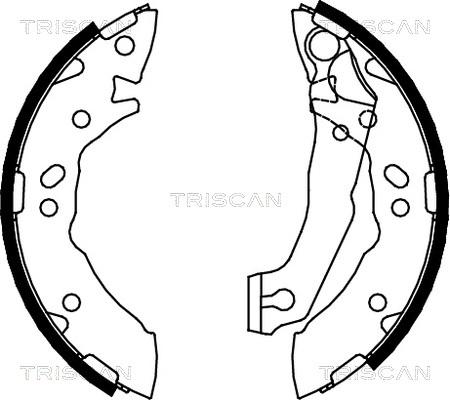 Triscan 8100 43621 - Brake Shoe Set autospares.lv