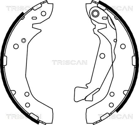 Triscan 8100 43025 - Brake Shoe Set autospares.lv