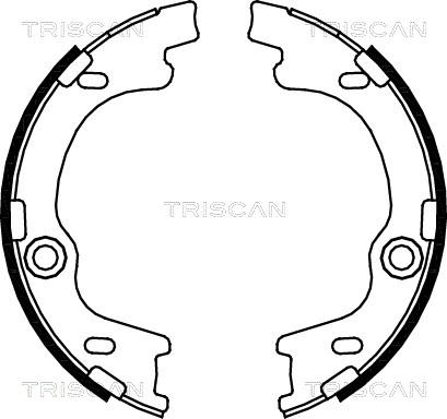 Triscan 8100 43021 - Brake Shoe Set autospares.lv