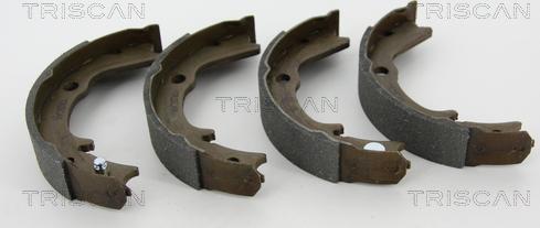 Triscan 8100 42016 - Brake Shoe Set, parking brake autospares.lv