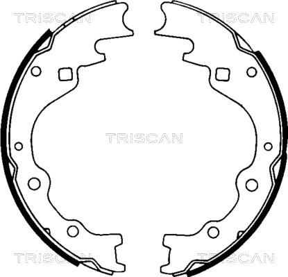 Triscan 8100 50461 - Brake Shoe Set autospares.lv