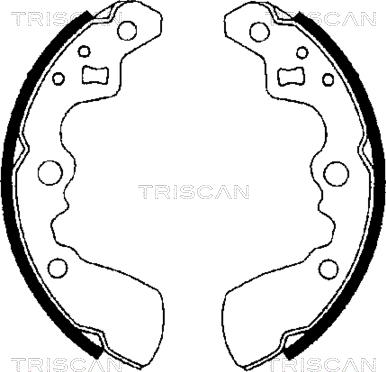 Triscan 8100 69550 - Brake Shoe Set autospares.lv