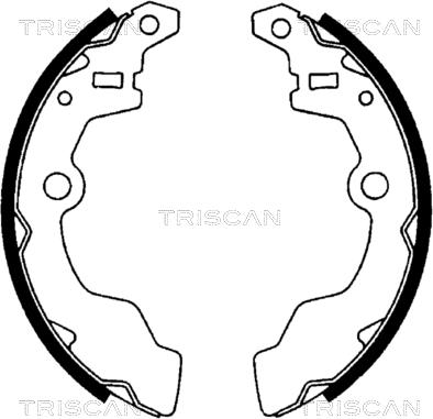 Triscan 8100 69567 - Brake Shoe Set autospares.lv