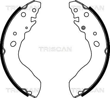 Triscan 8100 69584 - Brake Shoe Set autospares.lv