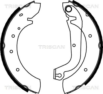 Triscan 8100 15480 - Brake Shoe Set autospares.lv