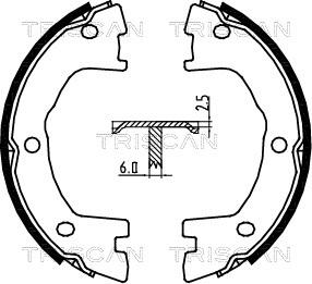 Triscan 8100 15025 - Brake Shoe Set, parking brake autospares.lv