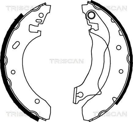 Triscan 8100 16559 - Brake Shoe Set autospares.lv