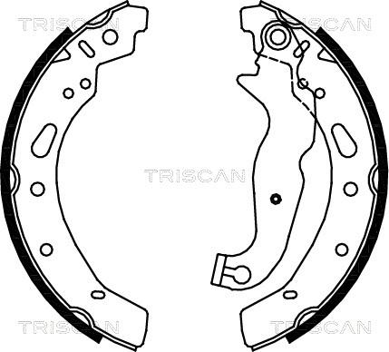 Triscan 8100 16012 - Brake Shoe Set autospares.lv