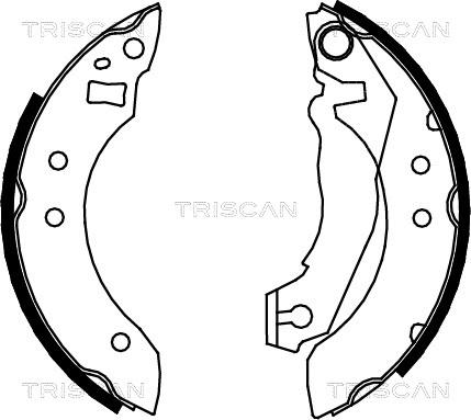 Triscan 8100 16355 - Brake Shoe Set autospares.lv