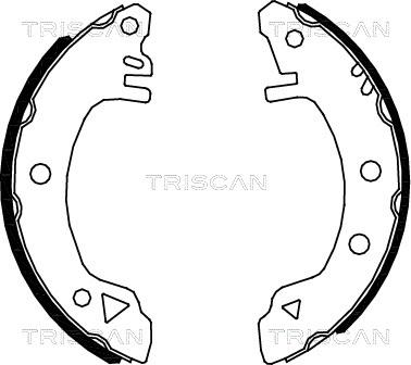 Triscan 8100 16375 - Brake Shoe Set autospares.lv