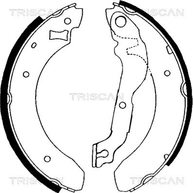 Triscan 8100 16376 - Brake Shoe Set autospares.lv