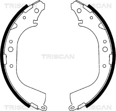 Triscan 8100 10519 - Brake Shoe Set autospares.lv