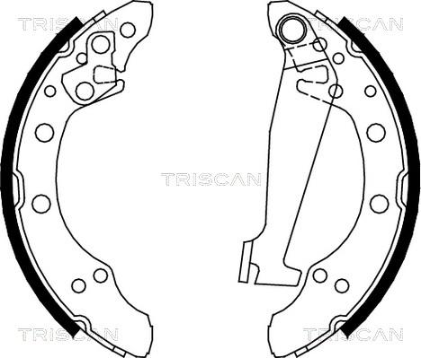Triscan 8100 10520 - Brake Shoe Set autospares.lv