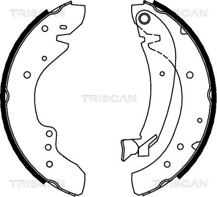 Triscan 8100 10573 - Brake Shoe Set autospares.lv