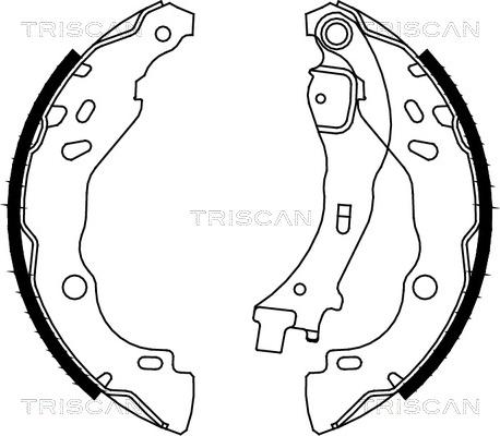 Triscan 8100 10009 - Brake Shoe Set autospares.lv