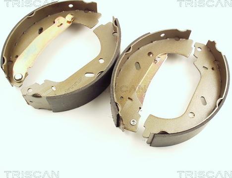 Triscan 8100 10004 - Brake Shoe Set autospares.lv