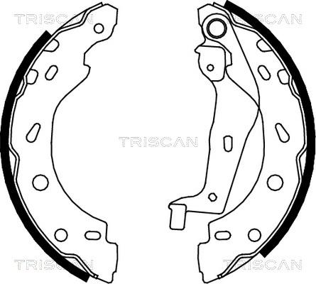 Triscan 8100 10005 - Brake Shoe Set autospares.lv