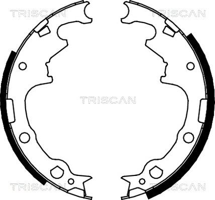 Triscan 8100 10001 - Brake Shoe Set autospares.lv