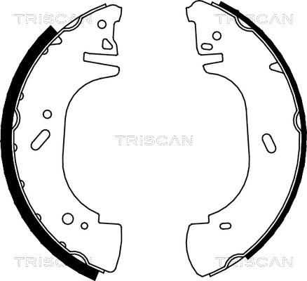 Triscan 8100 10002 - Brake Shoe Set autospares.lv